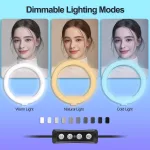 TechnoWhale 360 Photo Booth Video Spinner with 360 degree Rotating Selfie Machine Size 80cm Fits for 3 persons with Ytok Mobile Application - Image 5